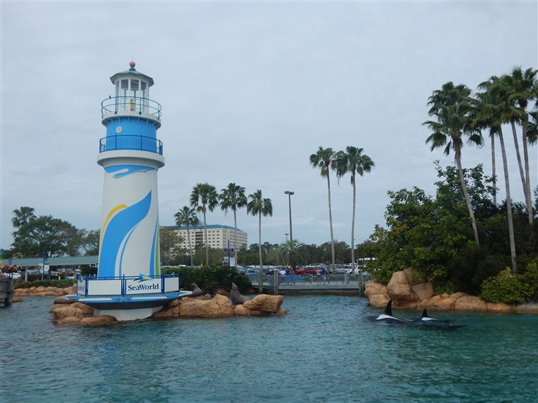 felső US amusement parks: SeaWorld Orlando, Florida