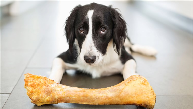 כמה bone treats could kill your dog