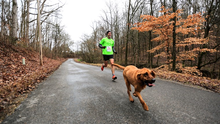 כלבי-חצי-מרתון-002-today-160125