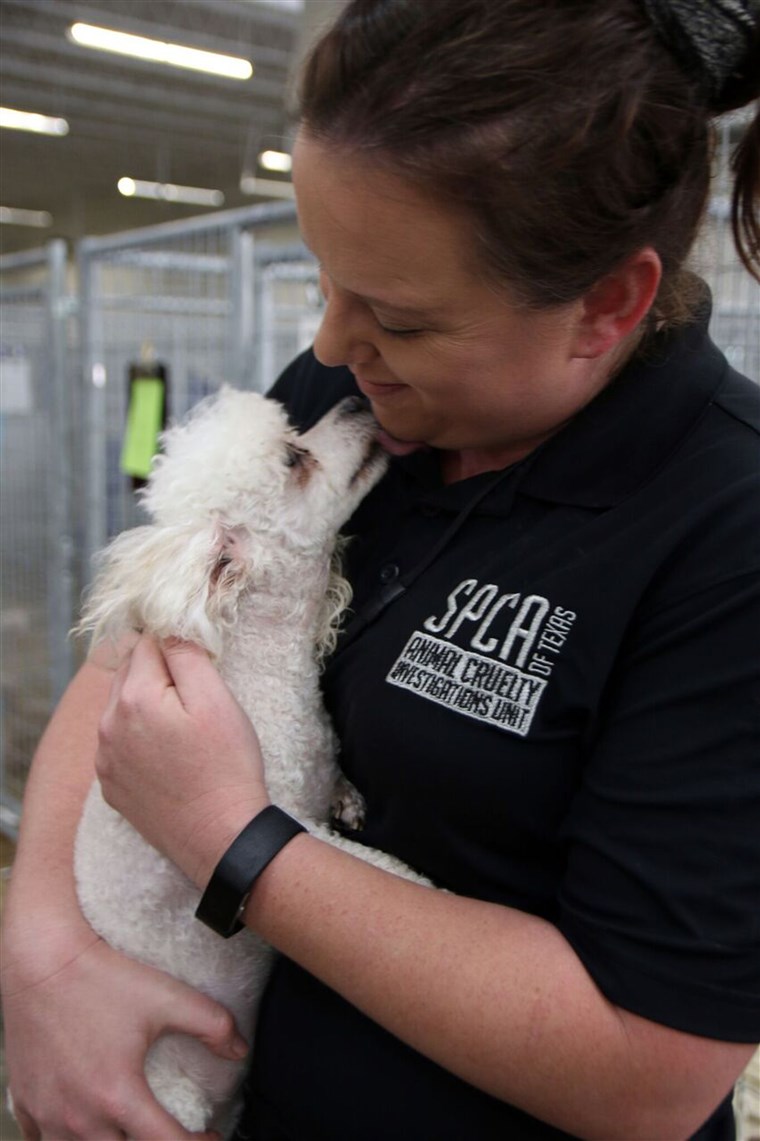 SPCA of Texas helped expose a puppy mill in Texas
