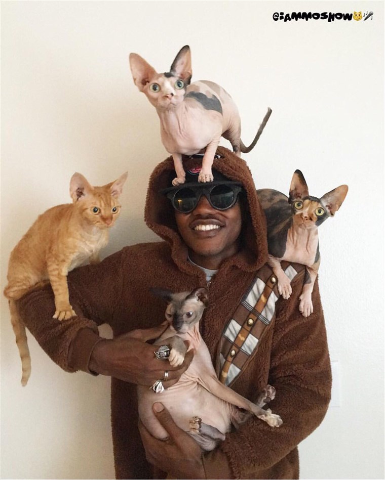 बाल्टीमोर rapper iAmMoshow loves cats