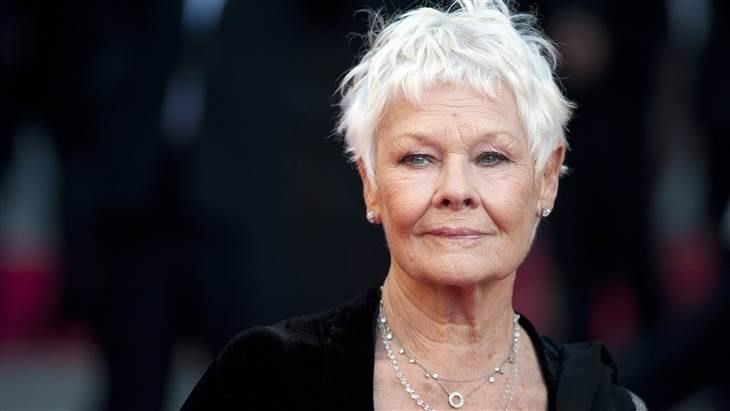 बेगम Judi Dench, 80, is glamorous in gray.