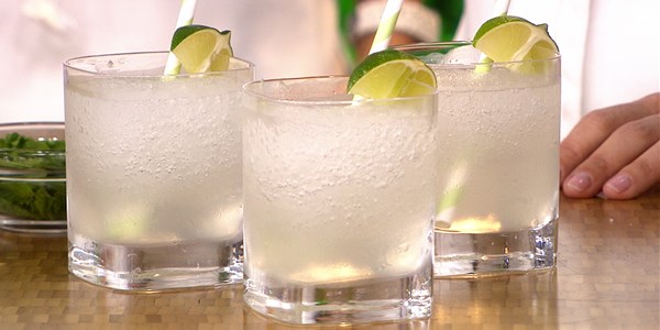 slimmed Down Frozen Gin and Tonic
