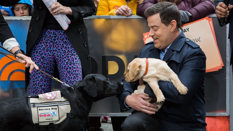 Carson Daly with TODAY puppies Sunny and Charlie