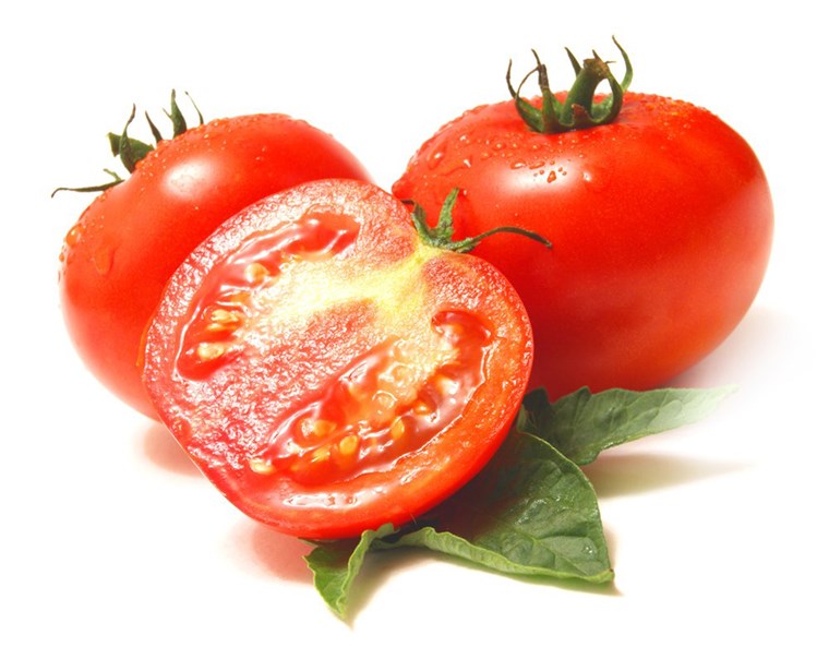 פחית dogs eat tomatoes?